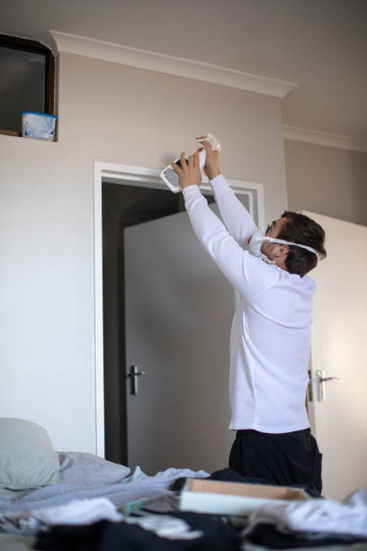 Best Mold Odor Removal Services  in North Springfield, VA