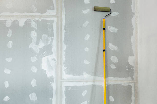 Reliable North Springfield, VA Mold Removal Solutions