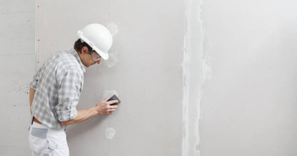 Best Post-Construction Mold Inspection  in North Springfield, VA