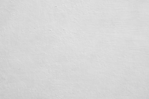 Best Mold Remediation for Healthcare Facilities  in North Springfield, VA