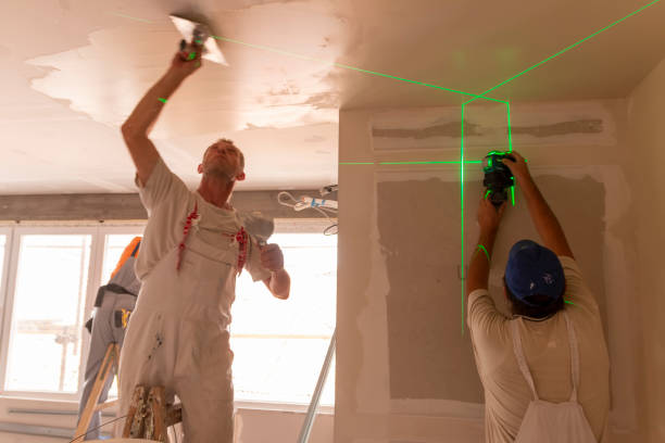 Best Mold Damage Restoration  in North Springfield, VA