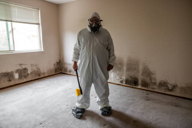 Best Comprehensive Air Testing for Mold Contaminants  in North Springfield, VA